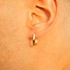 Horseshoe Shaped Hoops