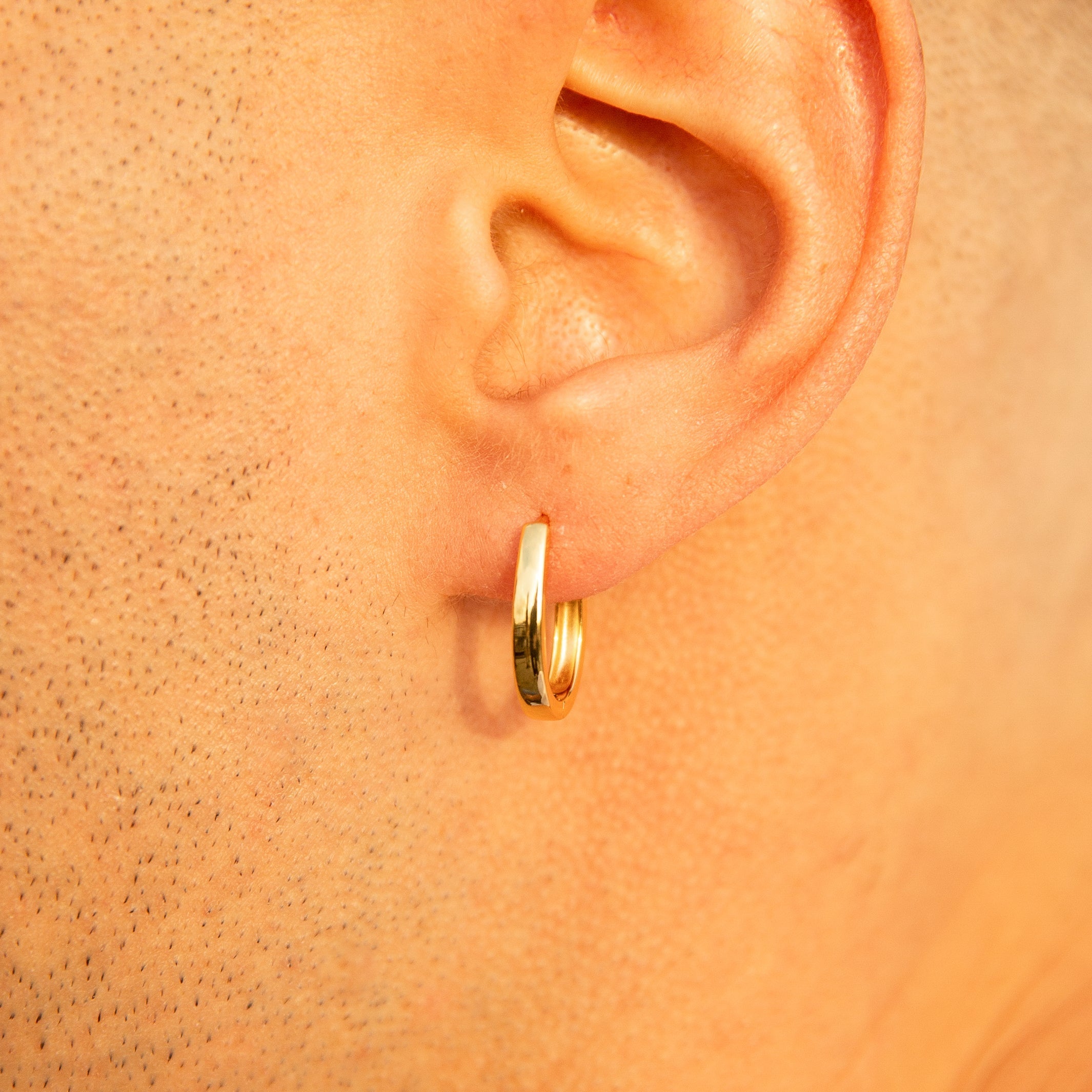Horseshoe Shaped Hoops