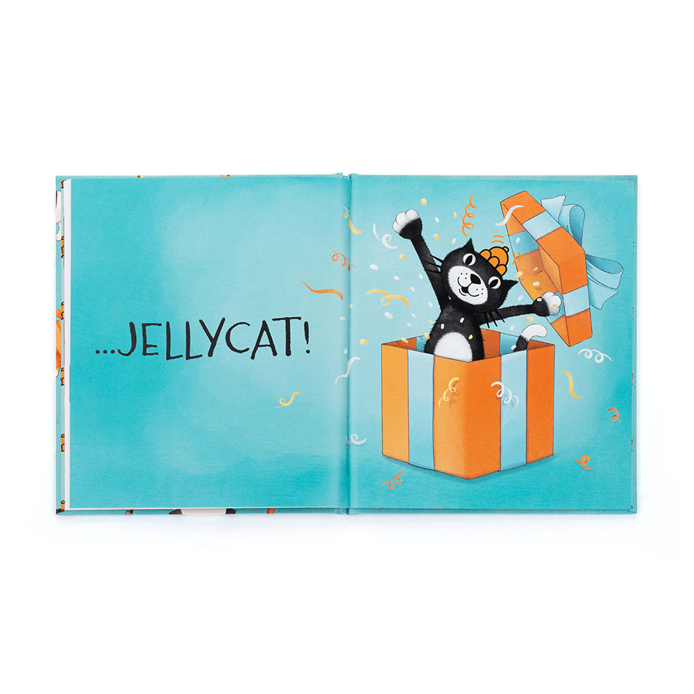 All Kinds of Cats - Illustrated Storybook