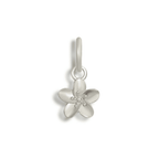 Bikini Charms