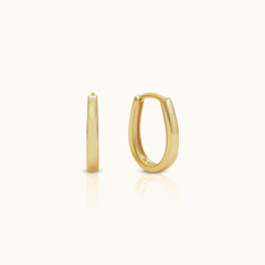 Horseshoe Shaped Hoops