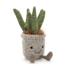 Silly Succulent Aloe