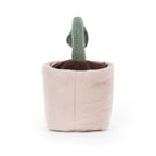 Silly Seedling Serene