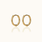 Twisted Hoop Earrings