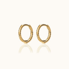 Twisted Hoop Earrings