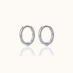 Twisted Hoop Earrings