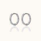 Twisted Hoop Earrings
