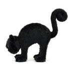 Spookipaws Cat