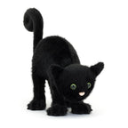 Spookipaws Cat