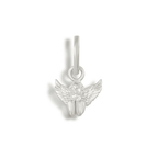 Charms
